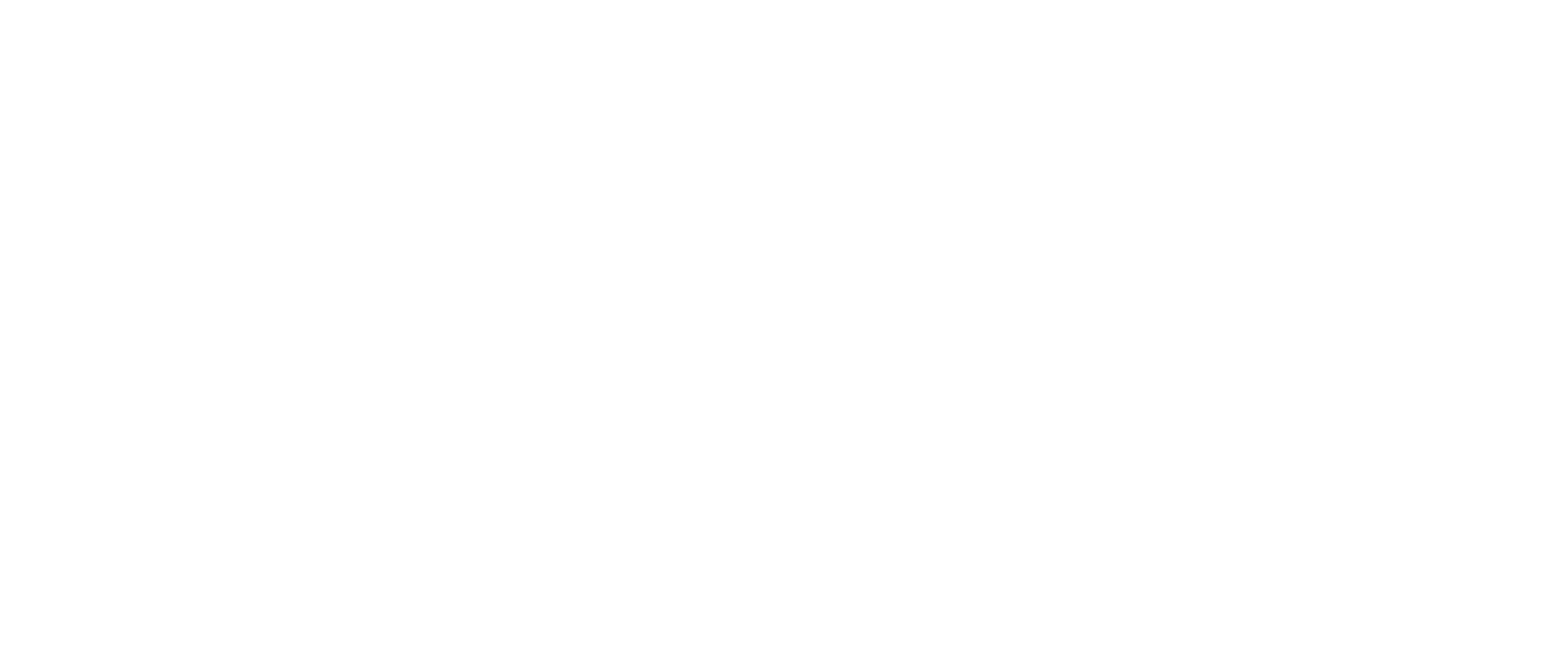 rivin automotive